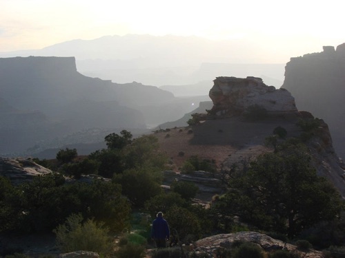 Morning in Canyonlands